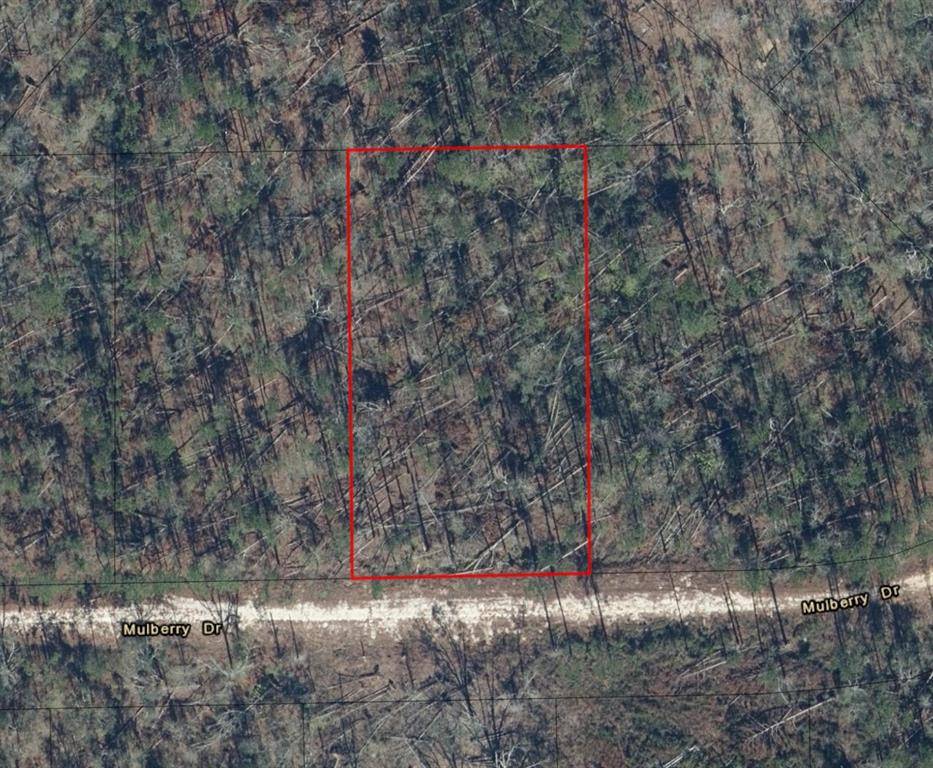 Marianna, FL 32448,0 Mulberry Dr