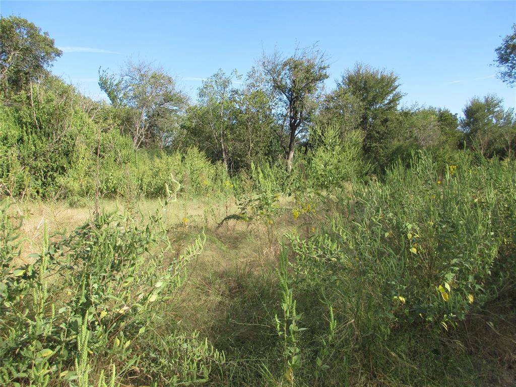 Marlin, TX 76661,00 Fleming Street