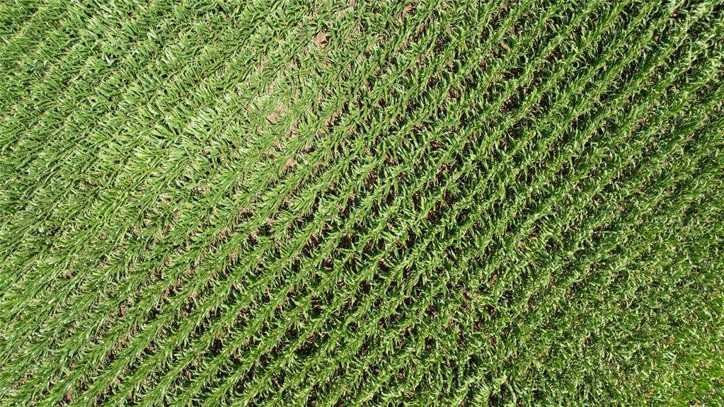 Moody, TX 76557,TBD Siler Road