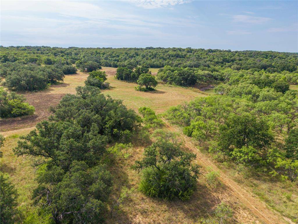 Coleman, TX 76834,447 CR 411