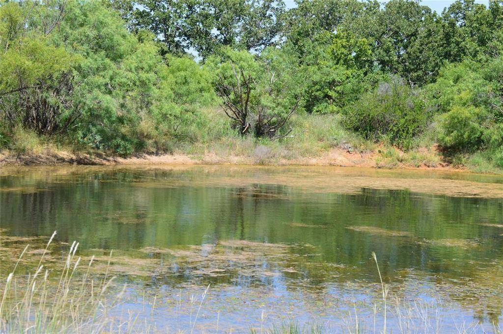 Carbon, TX 76435,000 Co Rd 400