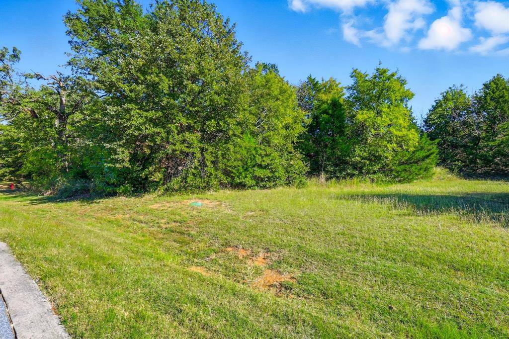 Gordonville, TX 76245,TBD Roaring Fork Circle