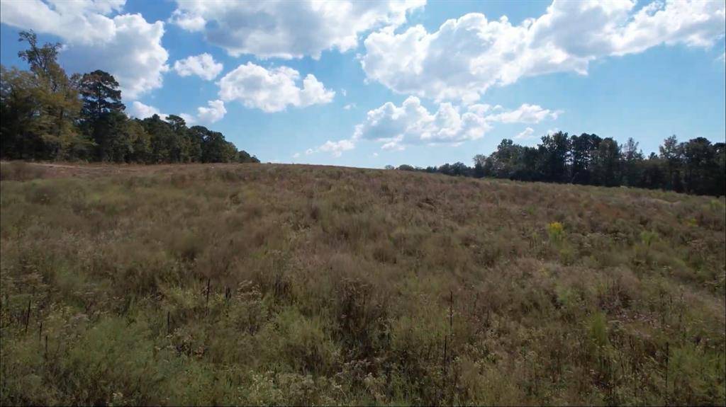 Laneville, TX 75667,TBD-B County Road 4172D