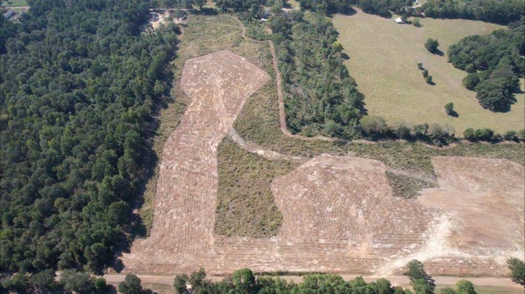 Laneville, TX 75667,TBD-B County Road 4172D