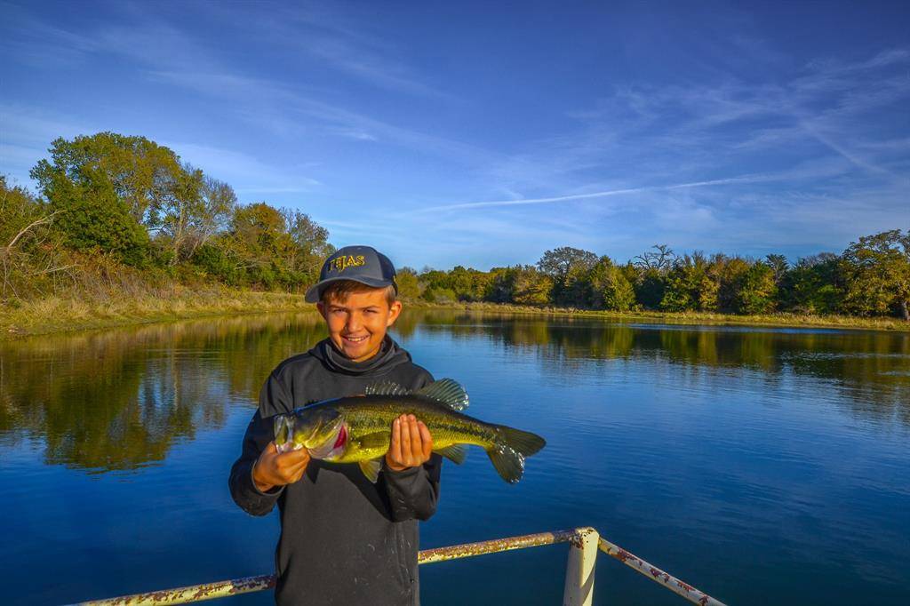 Kerens, TX 75144,0 NE 3130