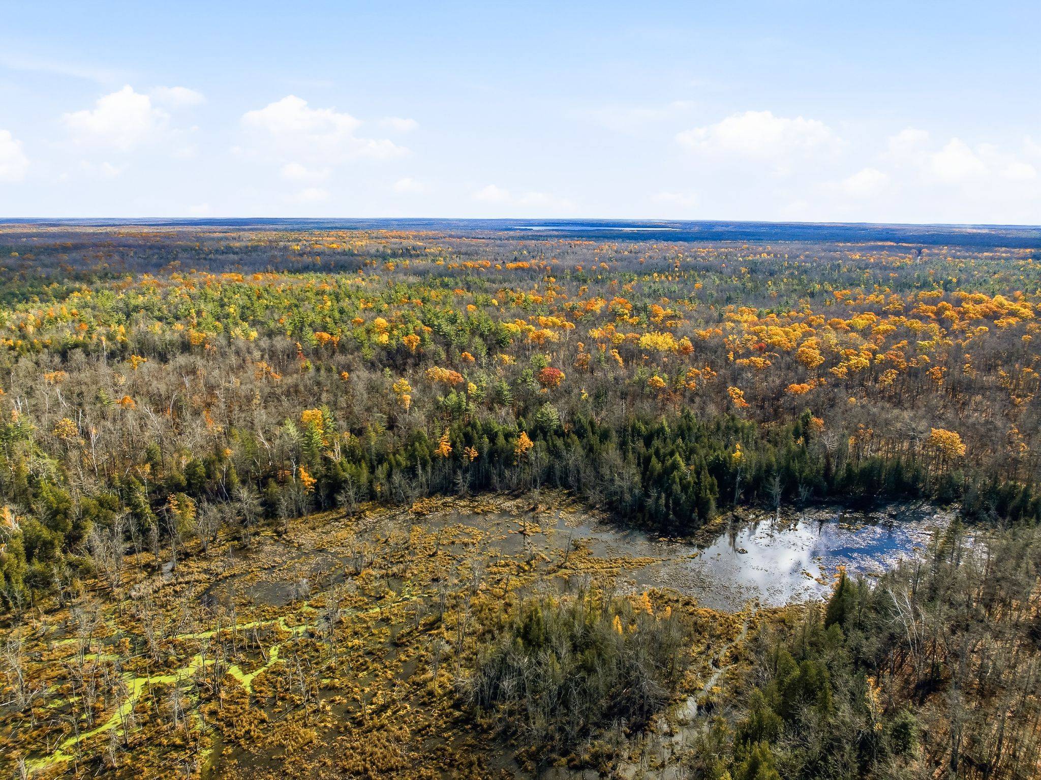 Havelock-belmont-methuen, ON K0L 2V0,0 CON 10 PT LOT 29 PT N/A