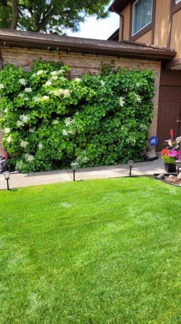 Oakville, ON L6H 2Z5,1580 Lancaster DR #26