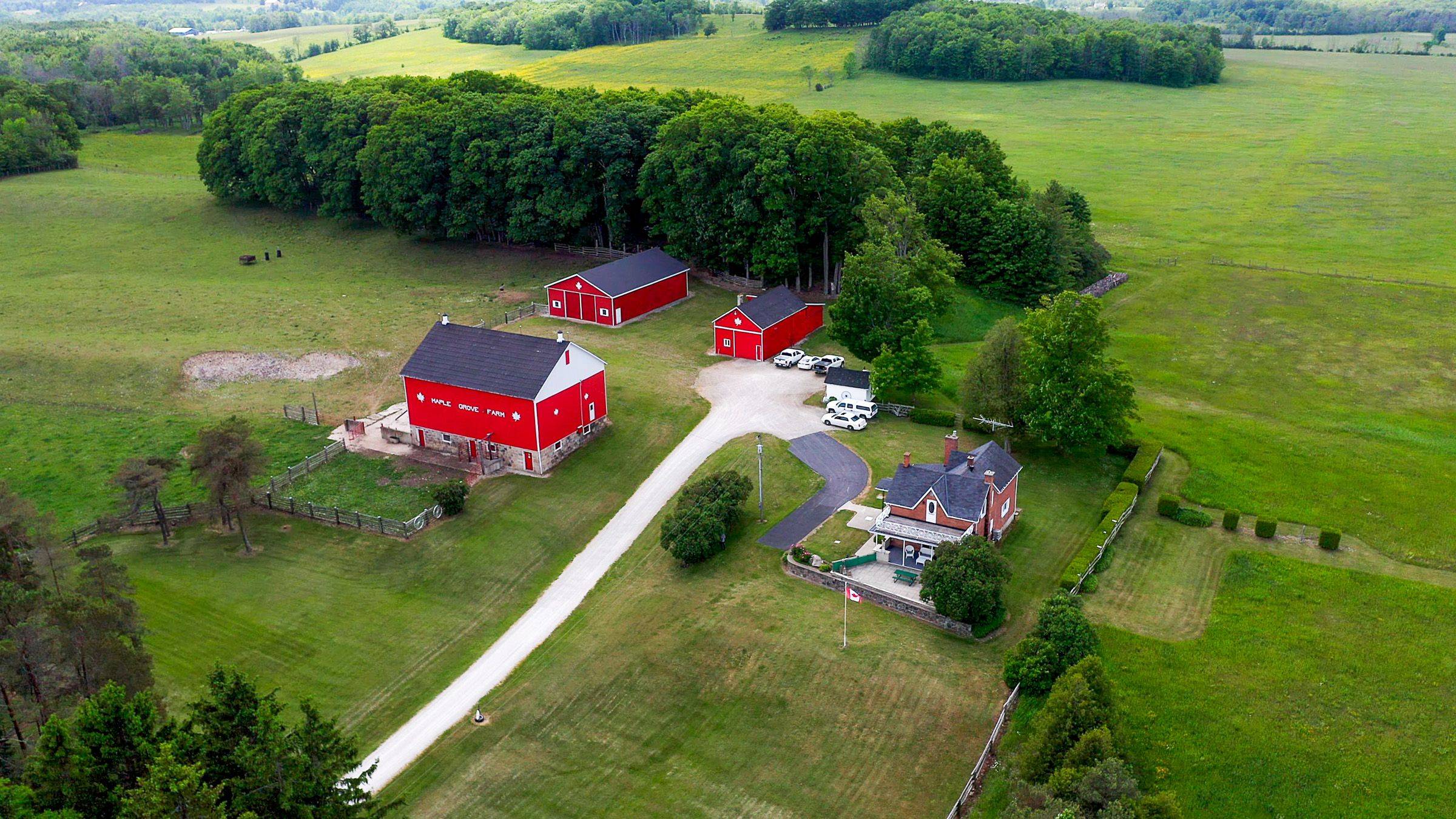 319144 Grey Road 1 N/A, Georgian Bluffs, ON N4K 0G2