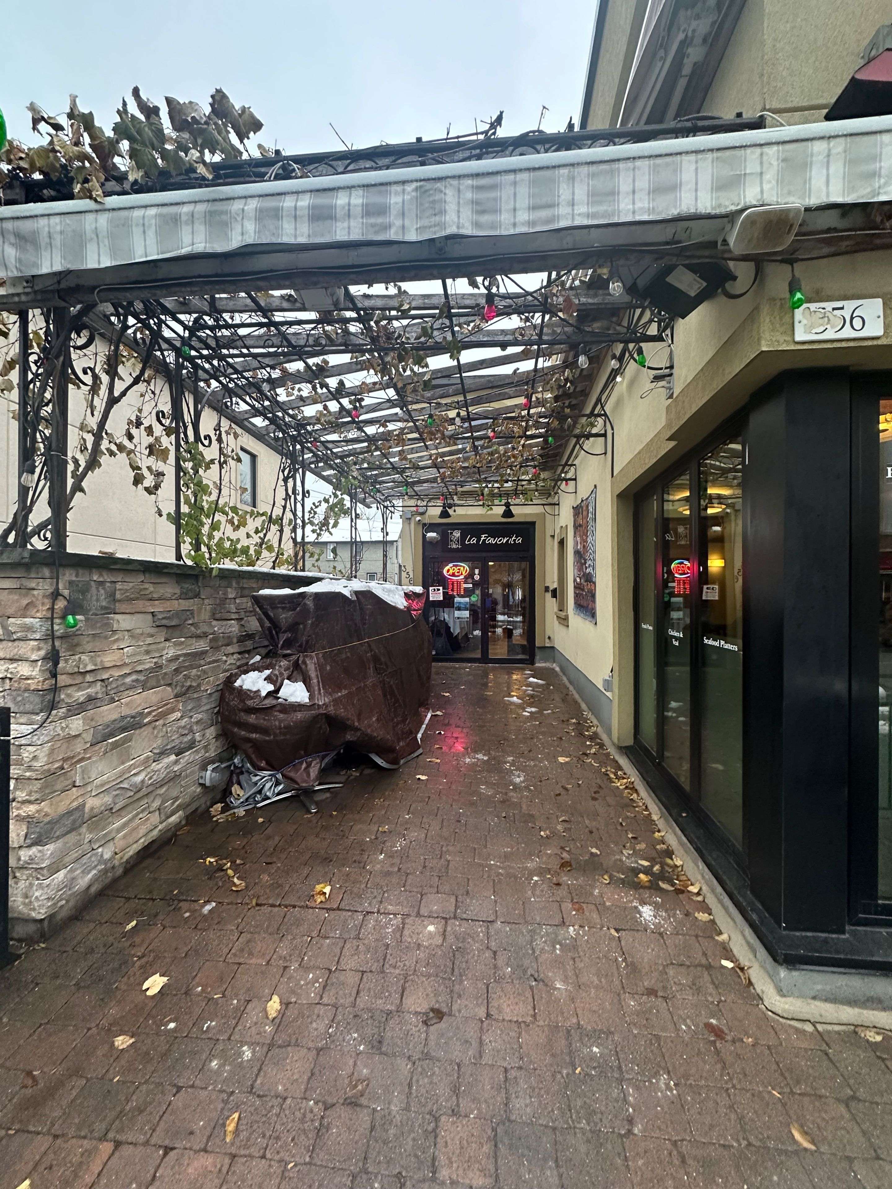 Dows Lake - Civic Hospital And Area, ON K1S 4M7,356 Preston ST