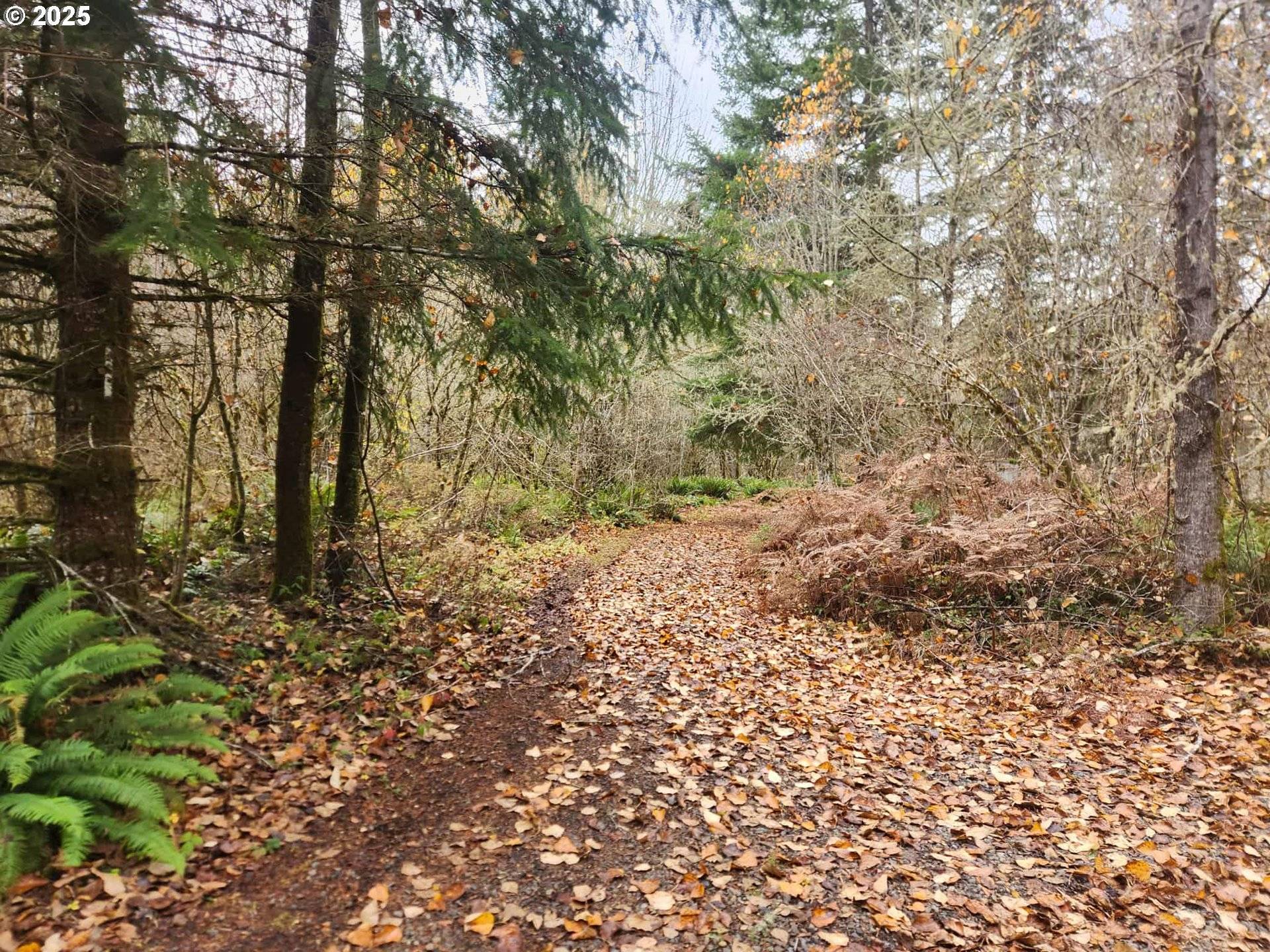 Toutle, WA 98649,8974 Spirit Lake HWY