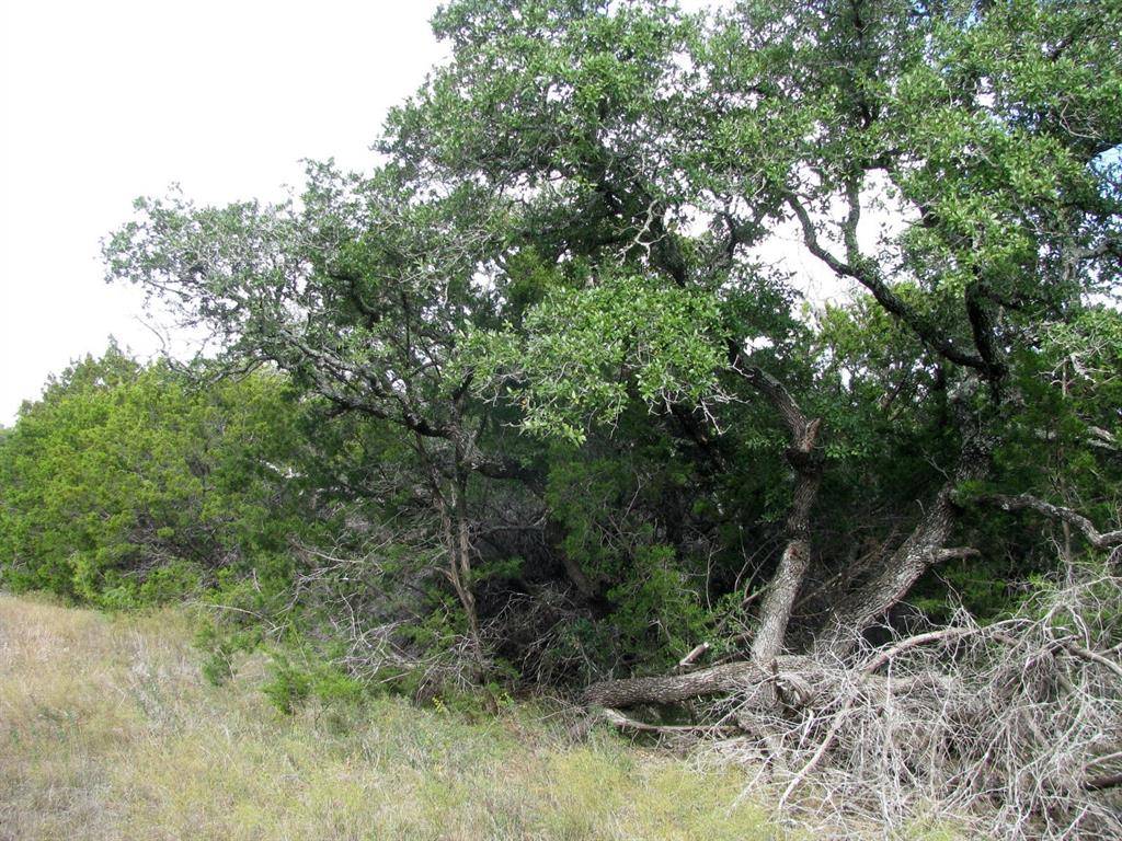 Evant, TX 76566,Lot 140 Ph 6 County Road 421