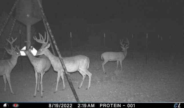 Goldthwaite, TX 76844,TBD1 US Highway 183 Highway S