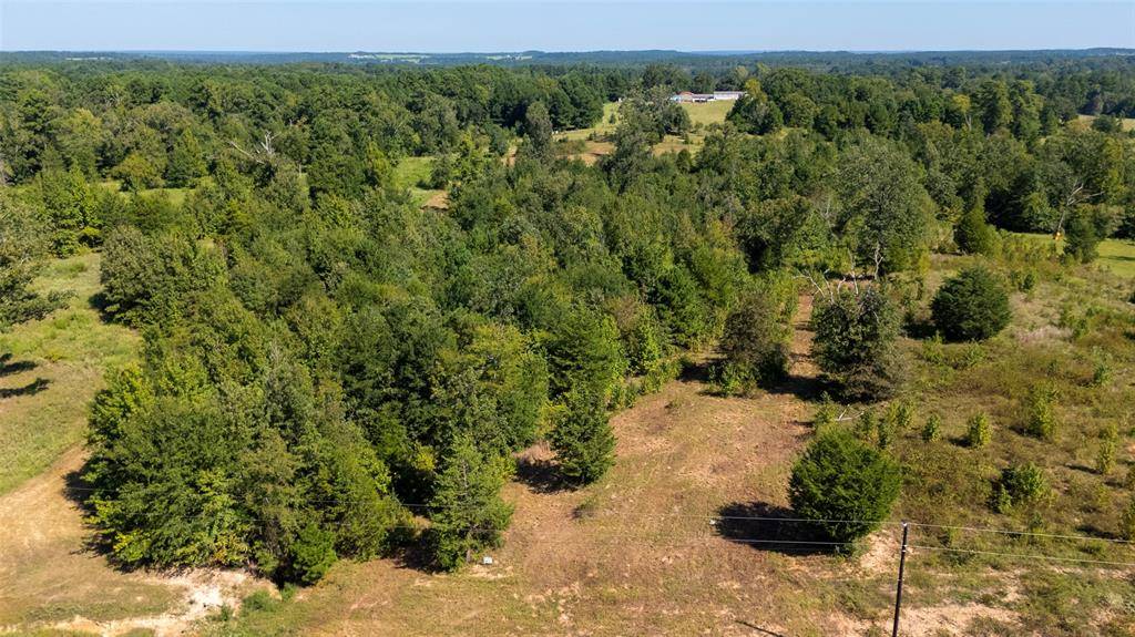 Winona, TX 75792,16659 Ridgeline Loop