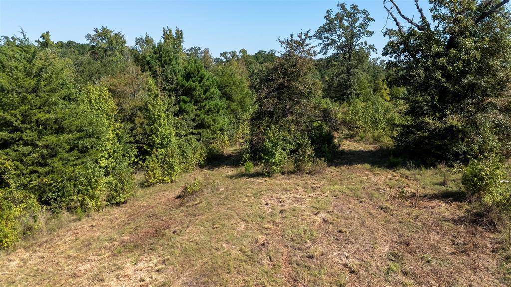 Winona, TX 75792,16659 Ridgeline Loop