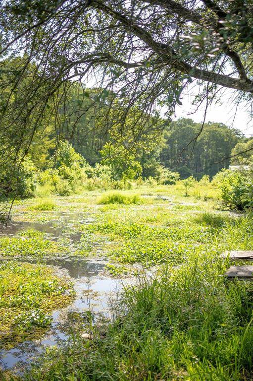 Karnack, TX 75661,523 Big Lake Rd 523 Big Lake Rd Road