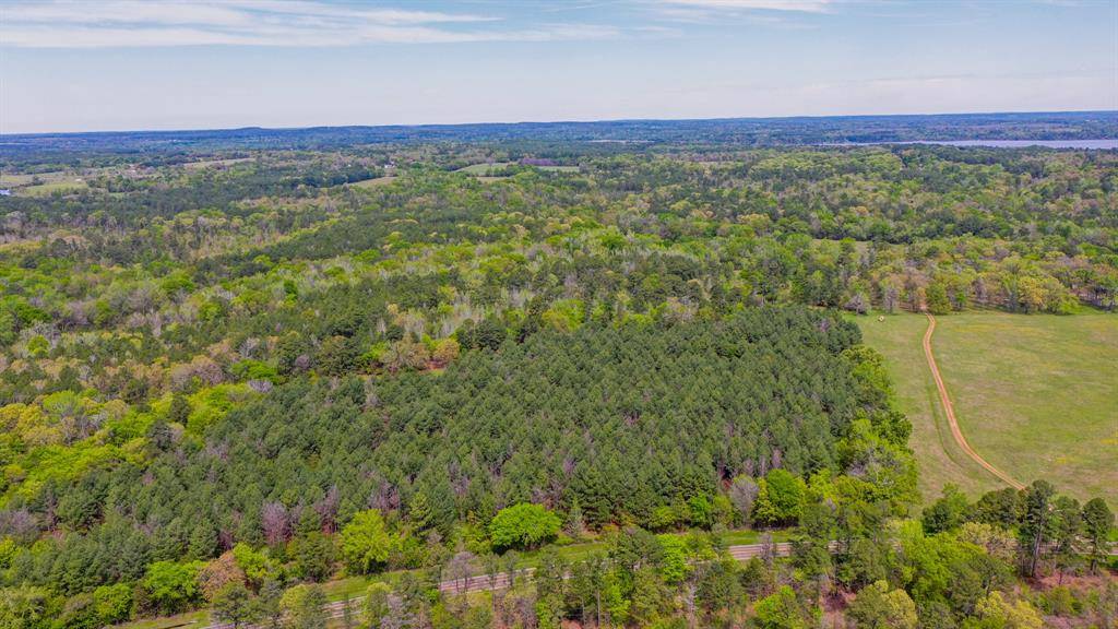 Larue, TX 75770,00 FM 315