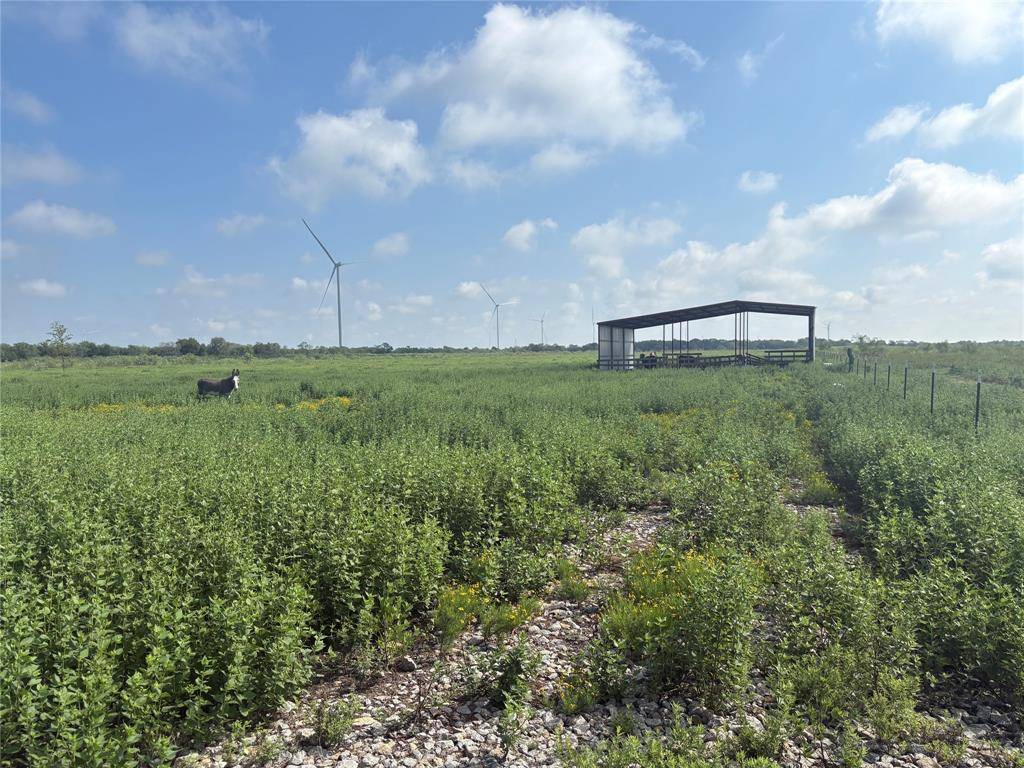 Dawson, TX 76639,TBD 000 FM 1838