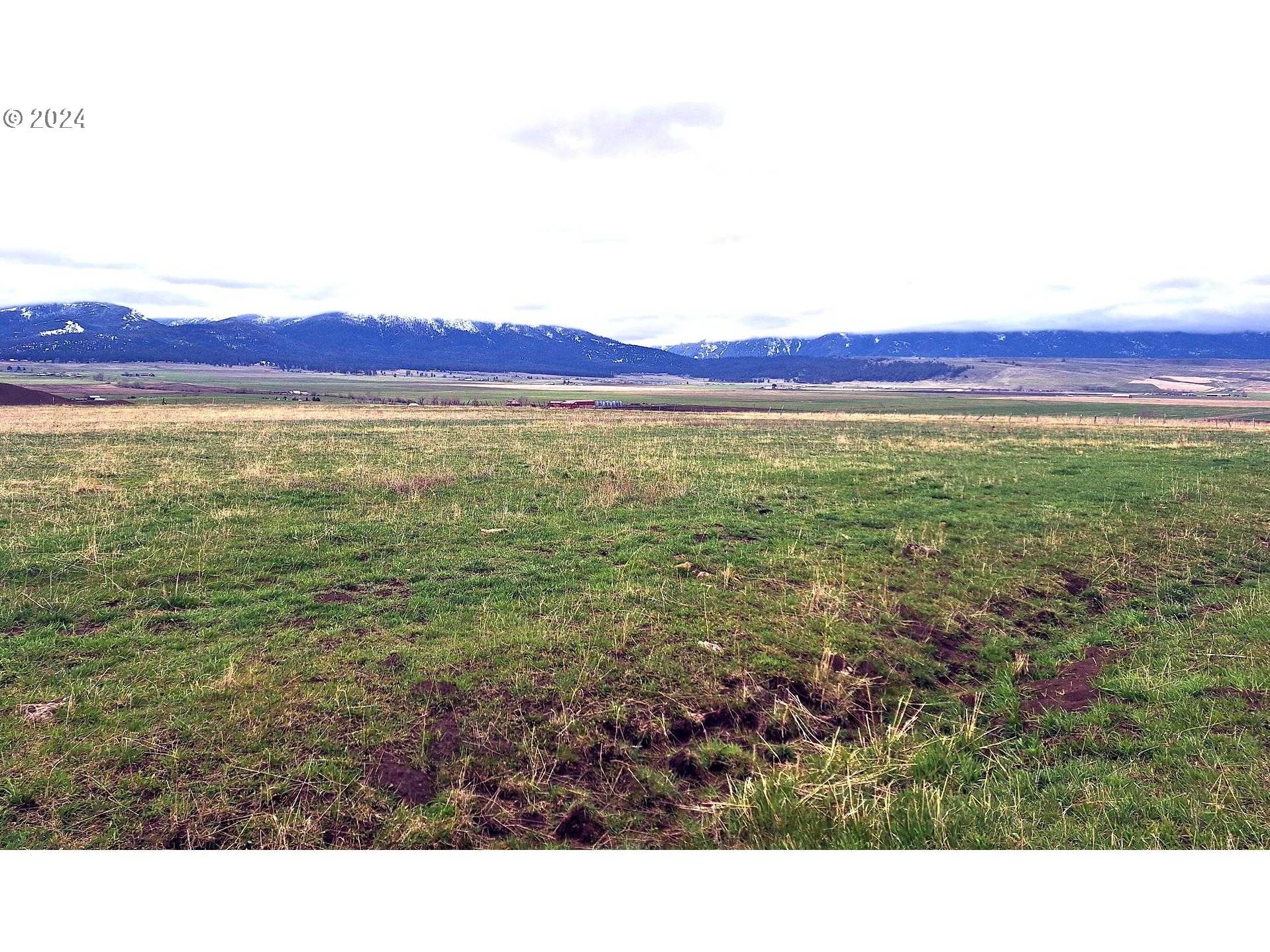 Joseph, OR 97846,Daggett Lane