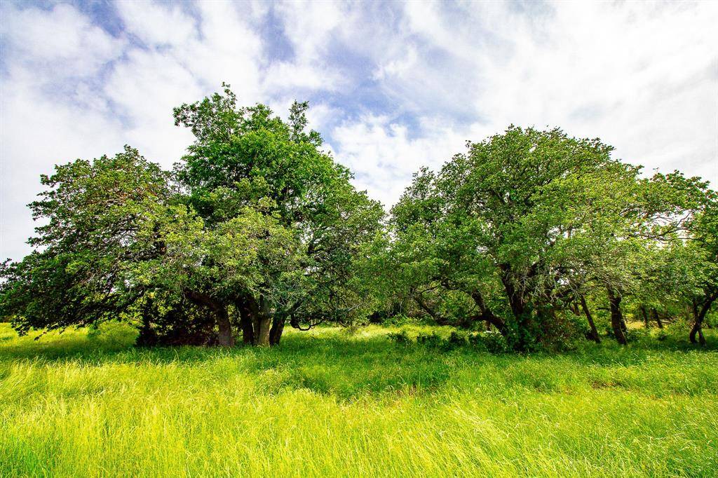 Bryson, TX 76427,TBD N College Street