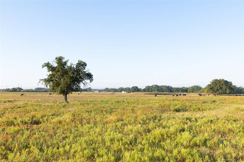 Granbury, TX 76048,TBD Brushy Road #Tract 2