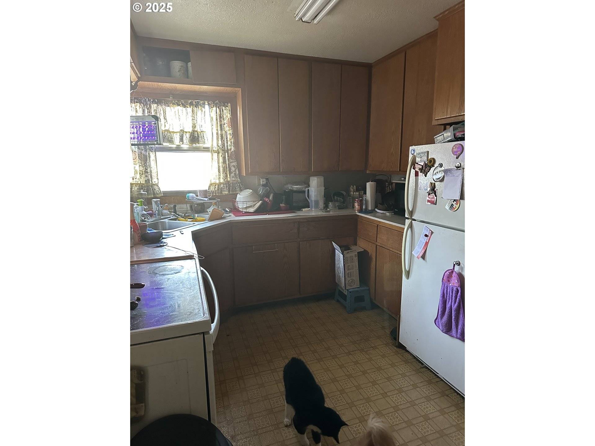 Pendleton, OR 97801,425 SW 17TH ST