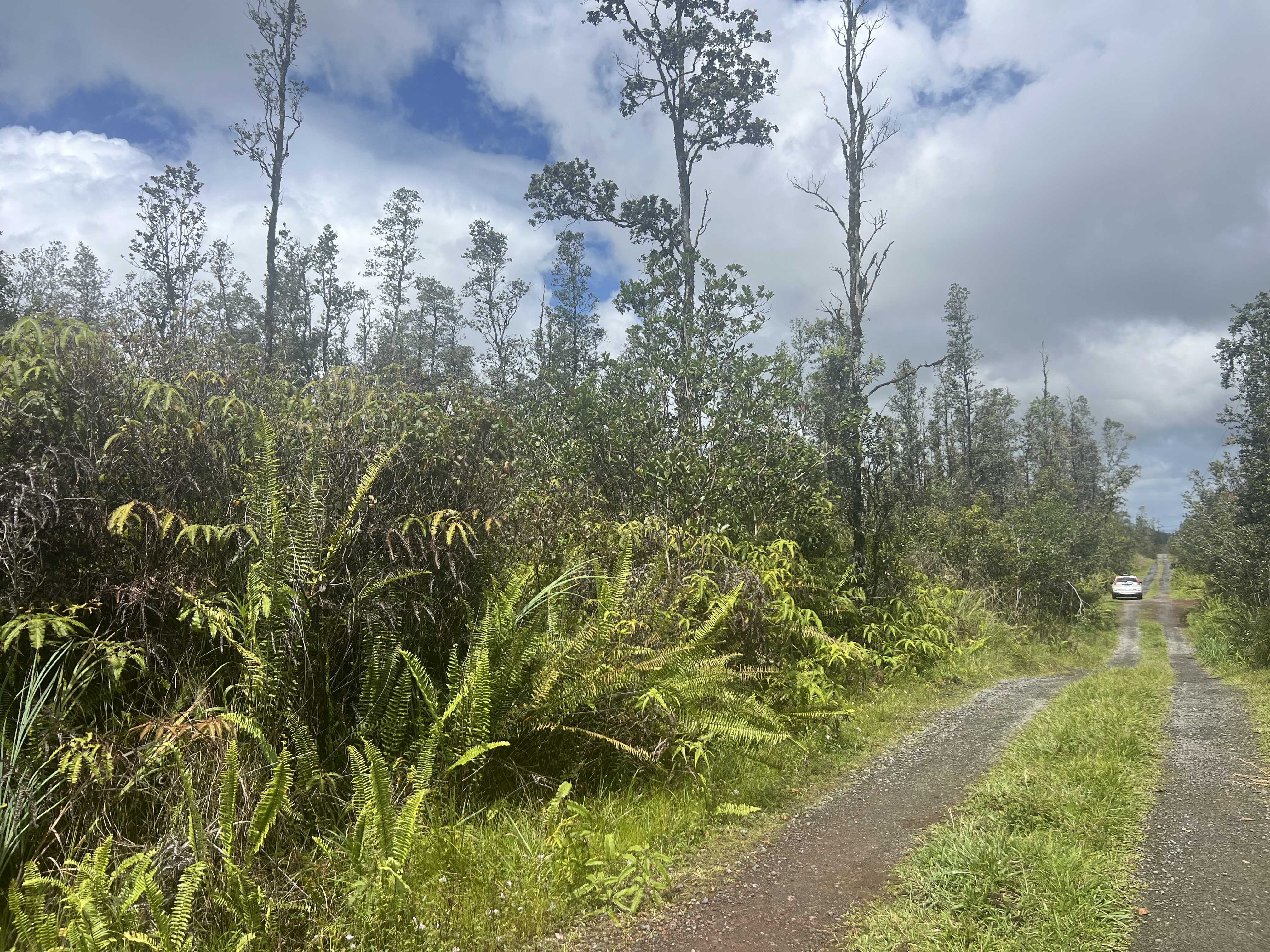 Mountain View, HI 96760,ROAD 6 (OOAA)