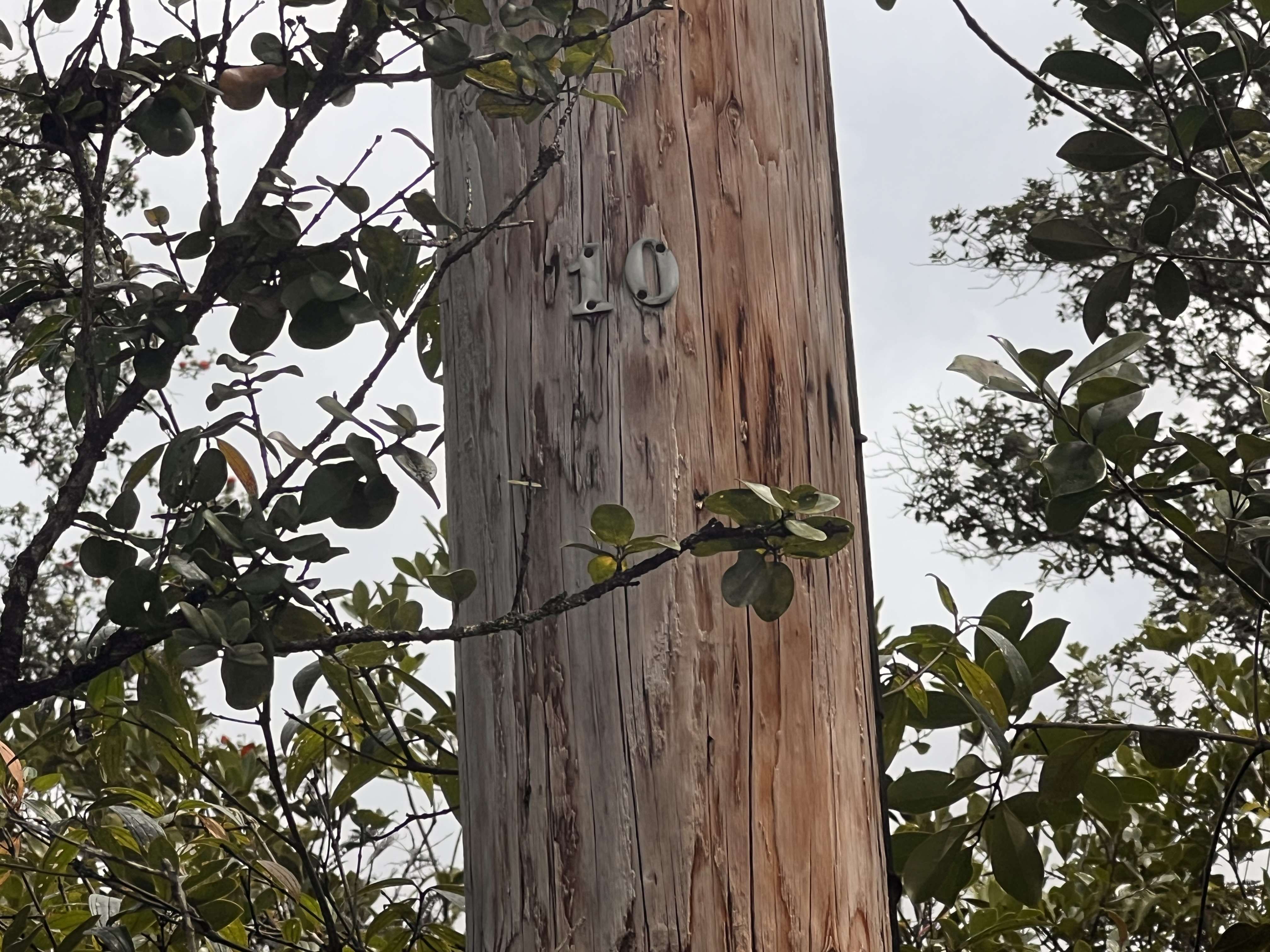 Mountain View, HI 96760,ROAD 6 (OOAA)