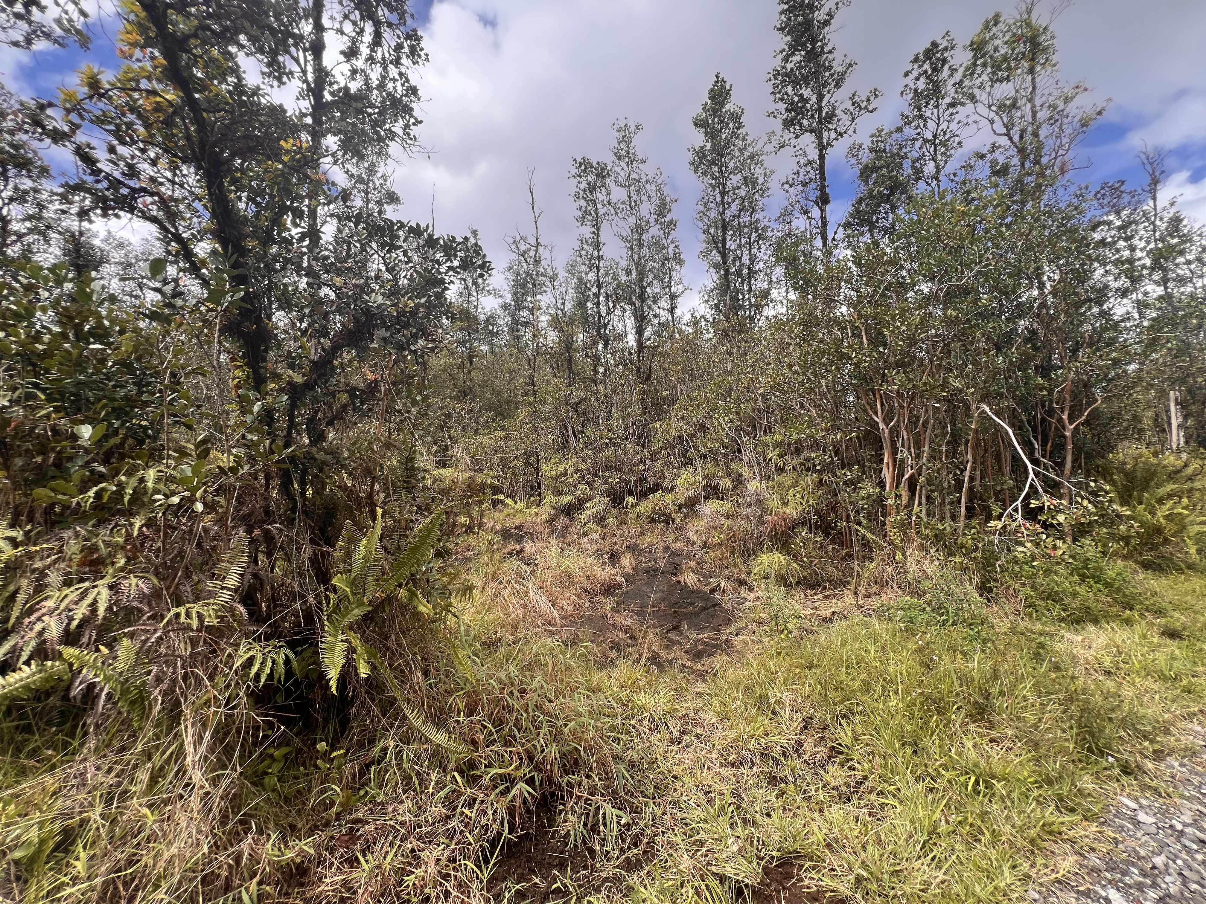 Mountain View, HI 96760,ROAD 6 (OOAA)