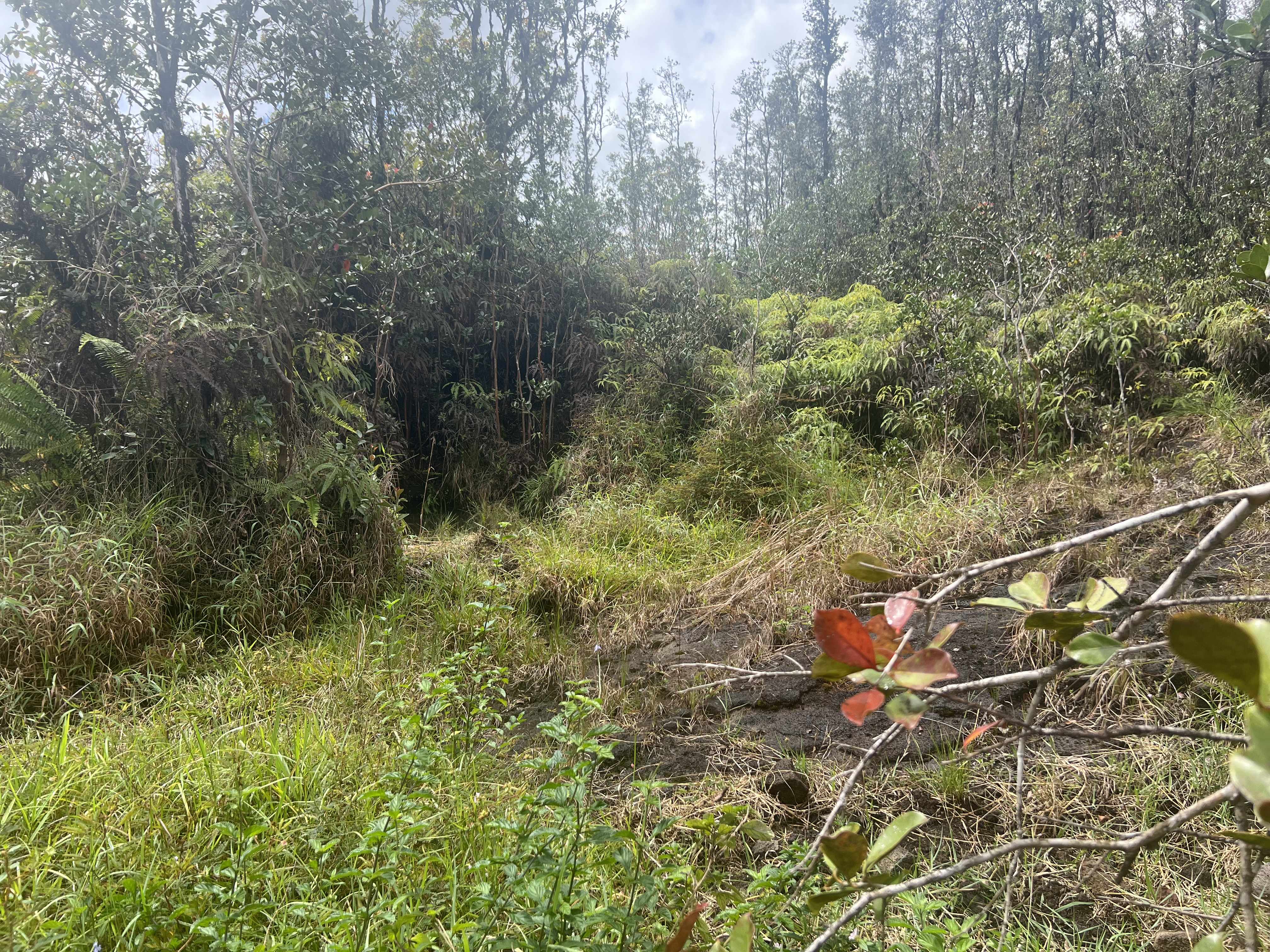 Mountain View, HI 96760,ROAD 6 (OOAA)