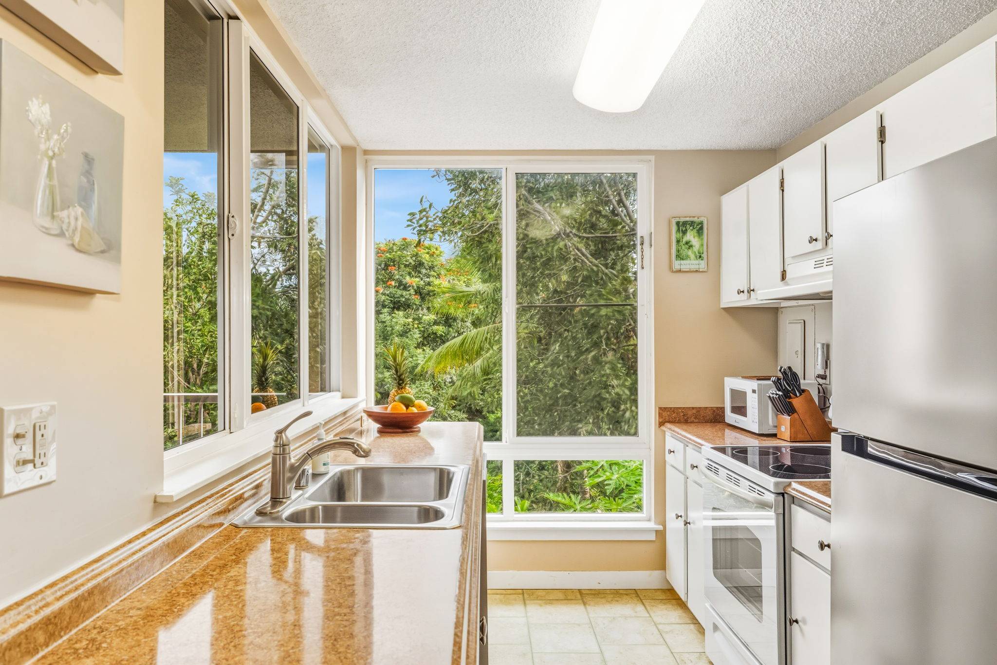 Princeville, HI 96722,3811 EDWARD RD #1206