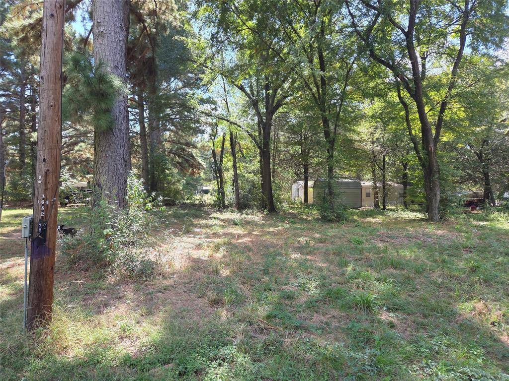 Streetman, TX 75859,180 Cedar Drive