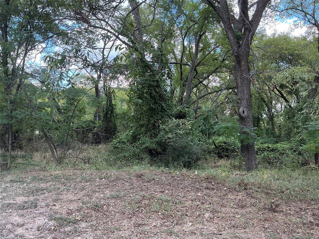 Weatherford, TX 76086,0 North Street