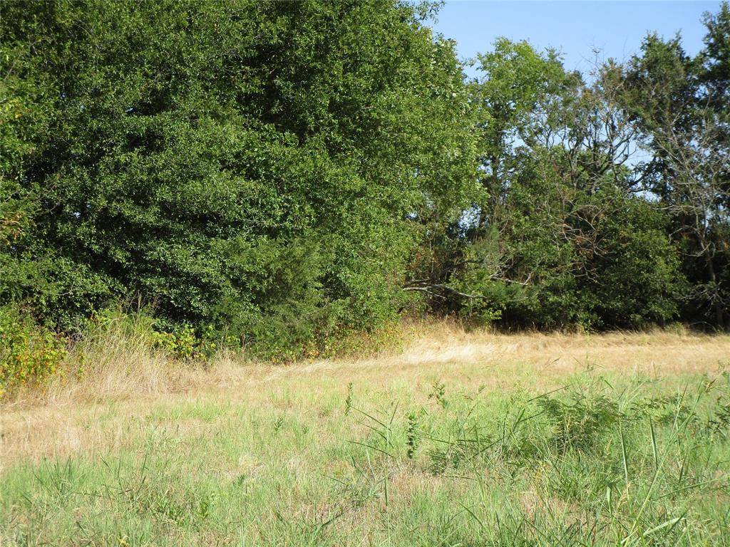 TBD County Rd 1082, Celeste, TX 75423
