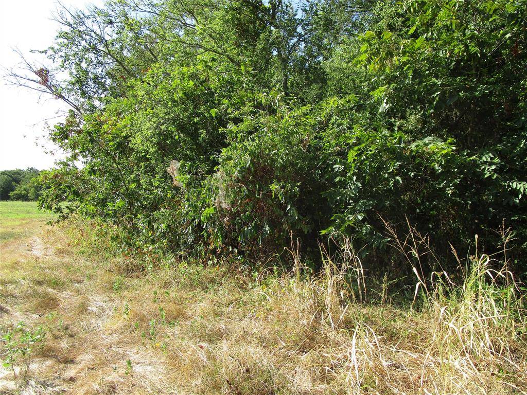 TBD County Rd 1082, Celeste, TX 75423