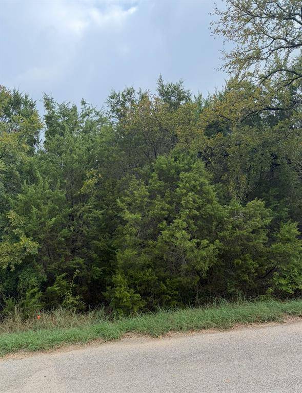 Granbury, TX 76048,2509 White Oak Trail