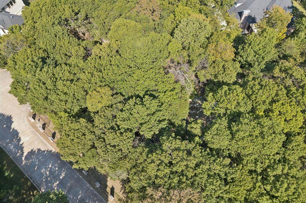 811 Shady Brook Lane, Fairview, TX 75069