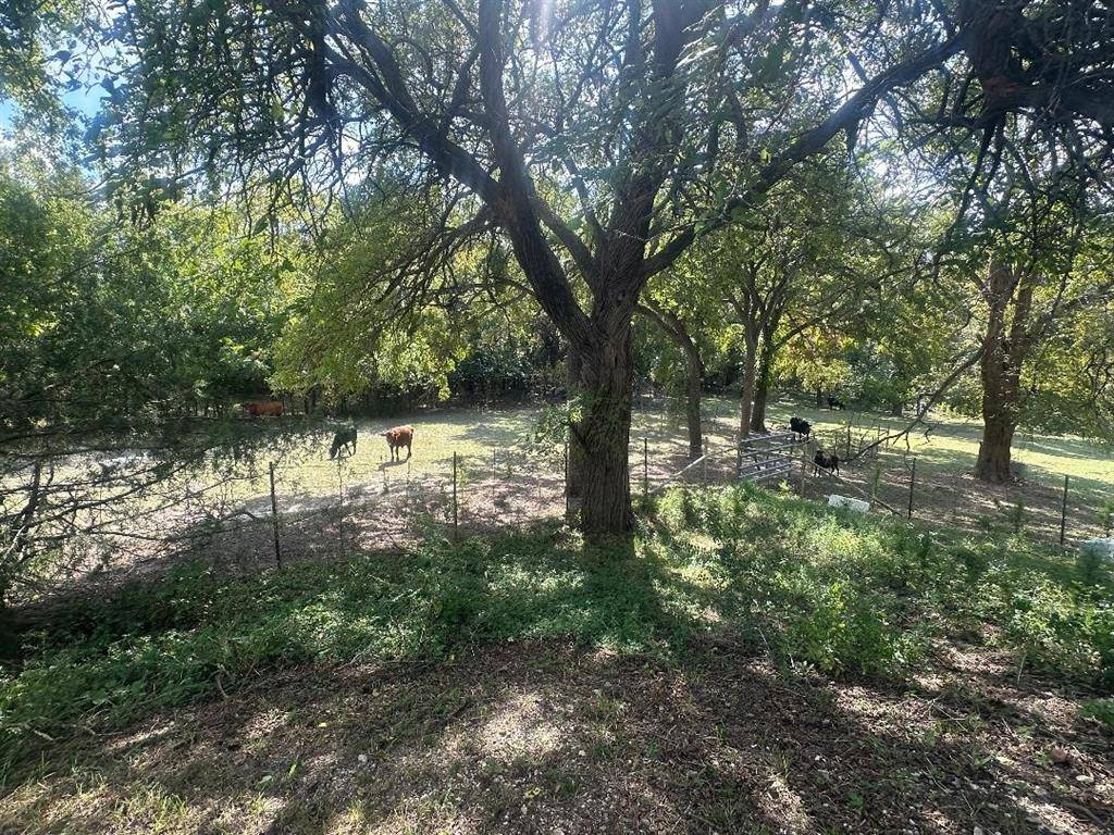 Whitewright, TX 75491,345 Hopper Road