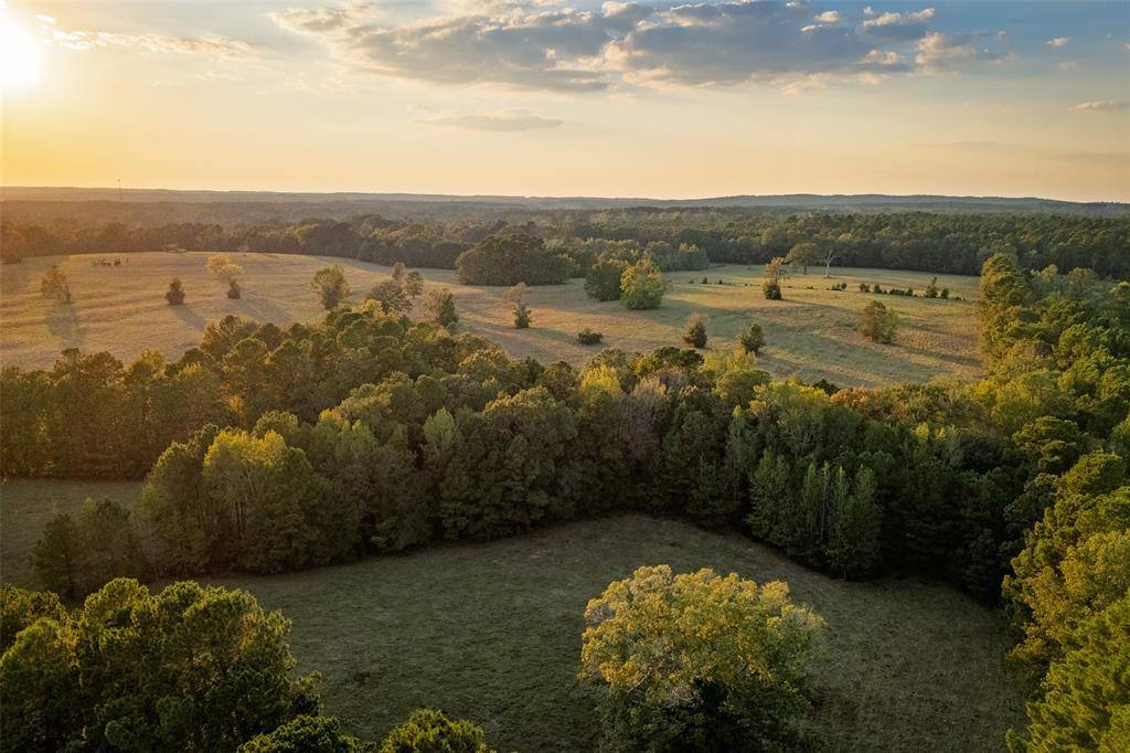 Center, TX 75935,973 County Road 2572