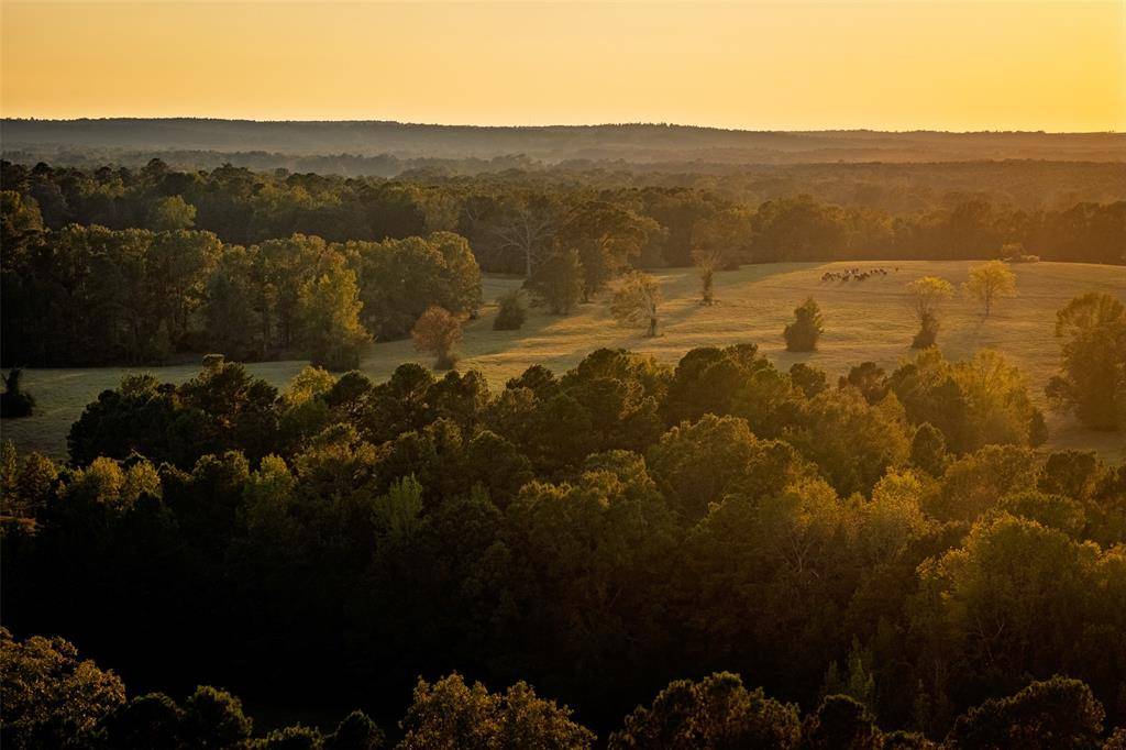 Center, TX 75935,973 County Road 2572