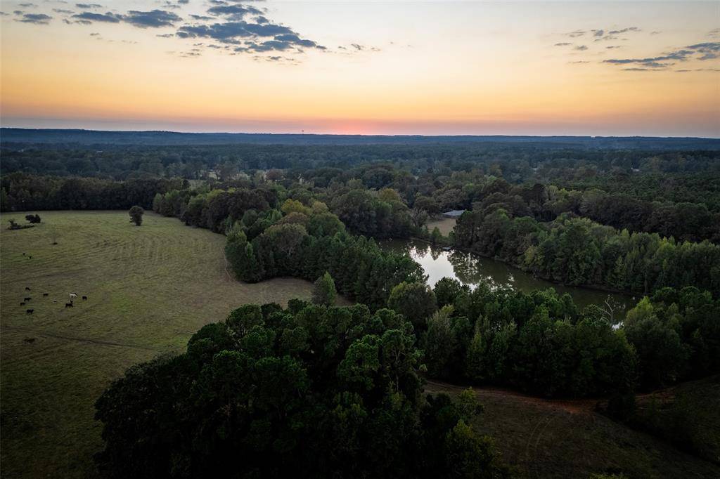 973 County Road 2572, Center, TX 75935