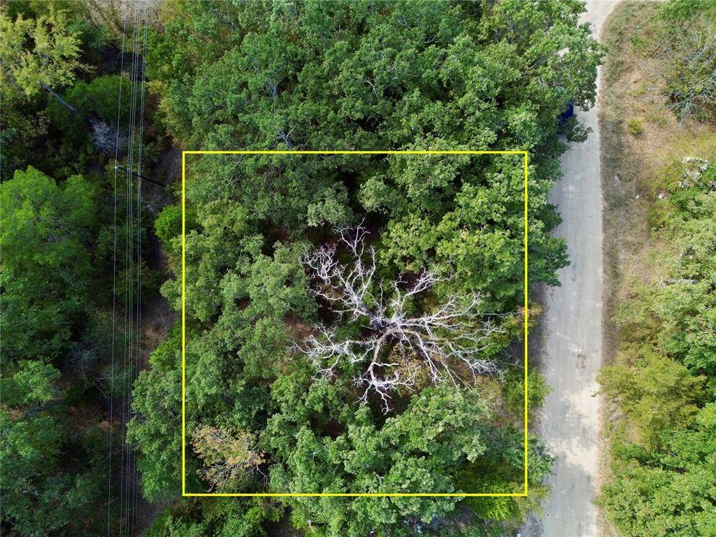 Mabank, TX 75156,145 Kiowa Drive