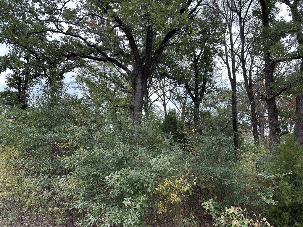 Mabank, TX 75156,102 Navarro Drive