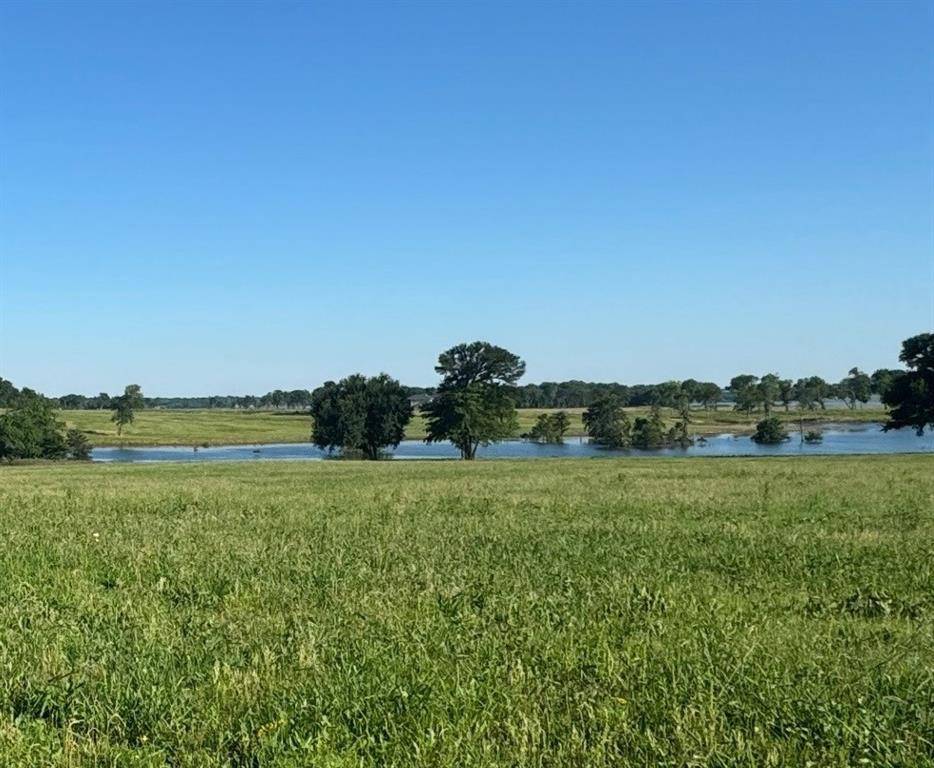 Honey Grove, TX 75446,305 Sailview Court