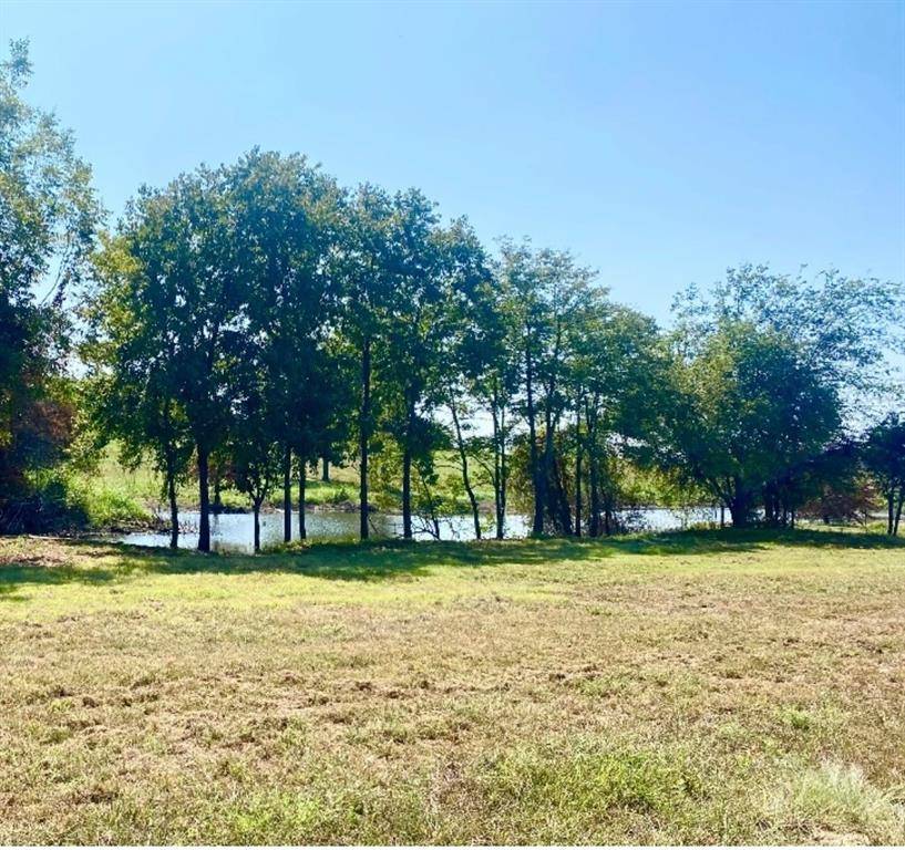 Honey Grove, TX 75446,305 Sailview Court