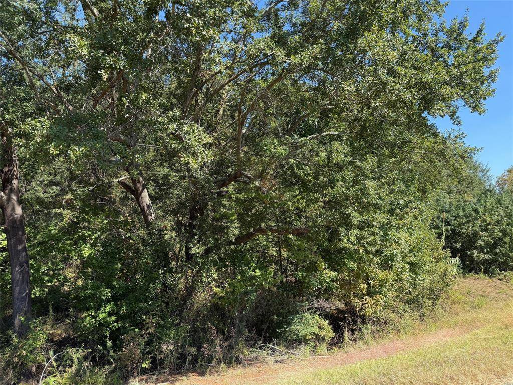 Hawkins, TX 75765,TBD E US Highway 80