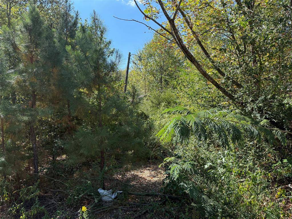 Hawkins, TX 75765,TBD E US Highway 80