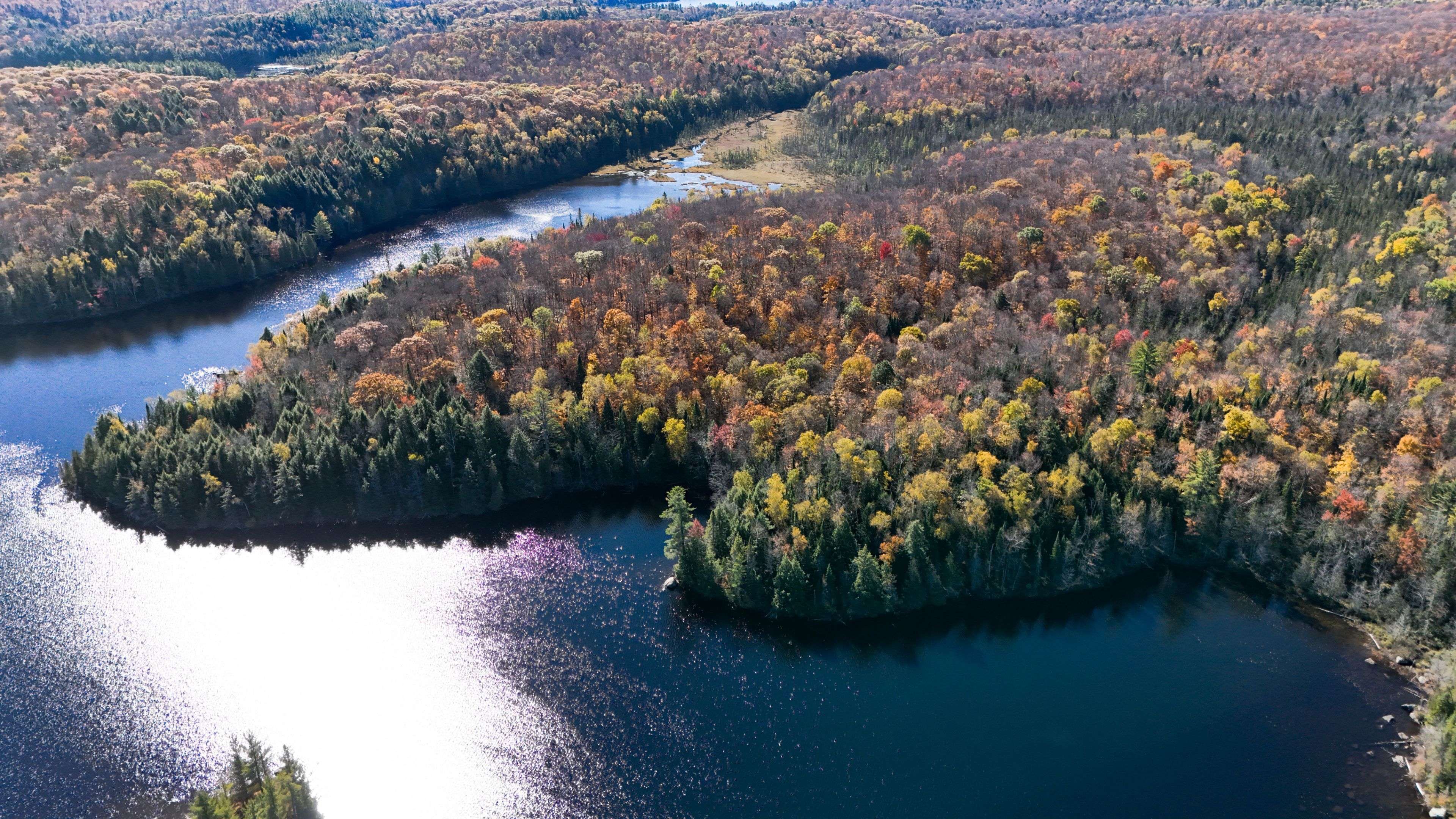 Lake Of Bays, ON P0B 1A0,ROW over 1741 Paint Lake Rd RD