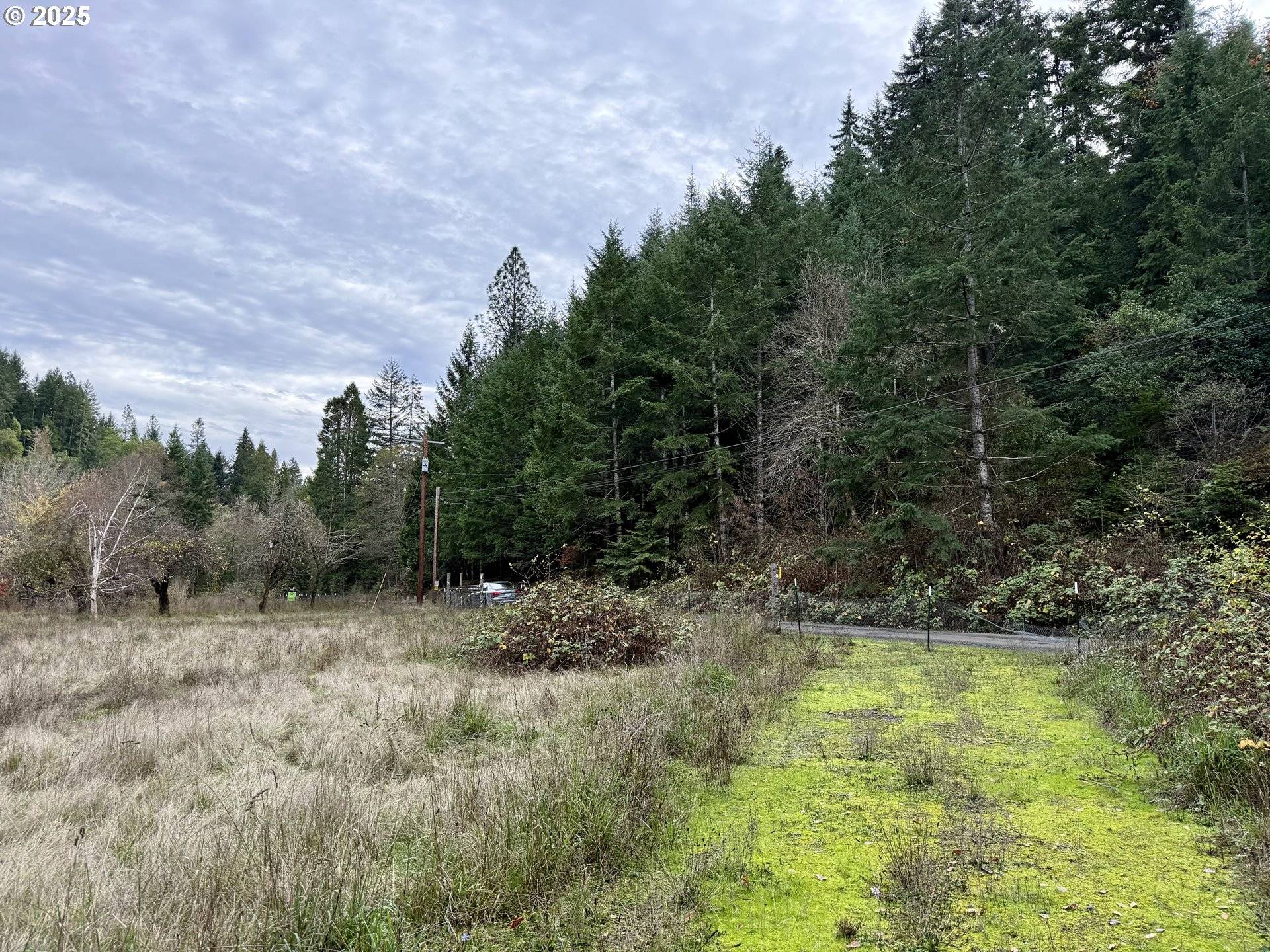 Tenmile, OR 97481,505 SIBOLD CANYON RD