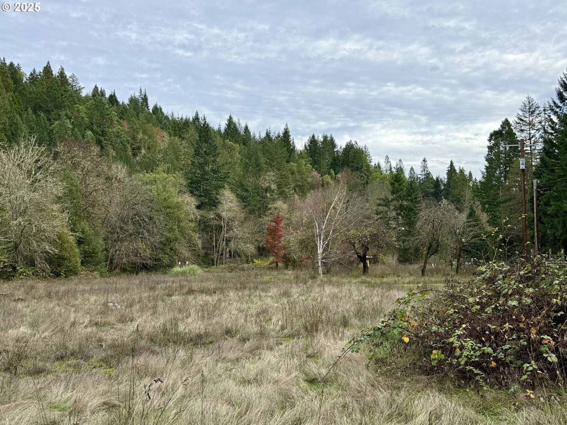 Tenmile, OR 97481,505 SIBOLD CANYON RD