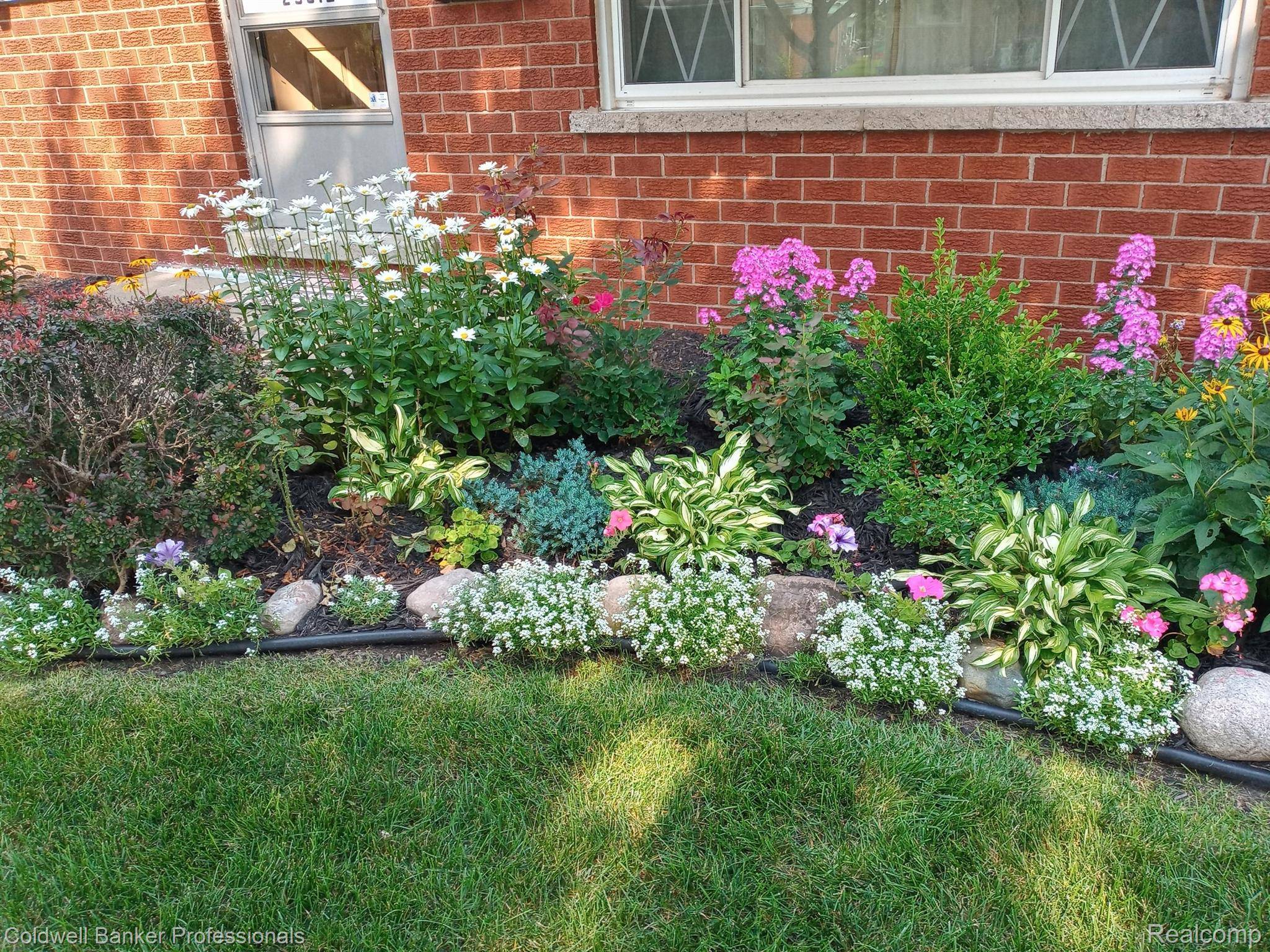 Warren, MI 48092,29012 RED MAPLE DR